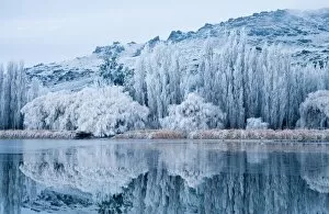 Images Dated 28th June 2006: Reflections and Hoar Frost, Butchers Dam, near Alexandra, Central Otago, South Island