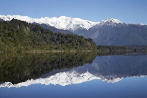 Images Dated 7th July 2007: Reflections, Lake Mapourika, West Coast, South Island, New Zealand