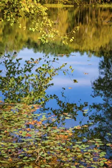 Images Dated 5th August 2021: Reflections, Otter Lake, Blue Ridge Parkway, Virginia, USA