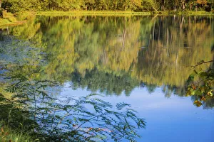 Images Dated 6th August 2021: Reflections, Otter Lake, Blue Ridge Parkway, Smoky Mountains, USA