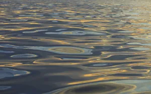 Images Dated 15th January 2015: Reflections and ripples on ocean water, Hulopo e Bay, Lanai, Hawaii