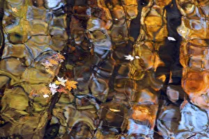 Smoky Prints: Reflections in Smoky Mountain Creek, Tennessee, USA