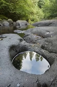Images Dated 25th June 2007: Reflections in Sweet Creek, Oregon, USA