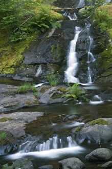 Images Dated 25th June 2007: Reflections in Sweet Creek, Oregon, USA