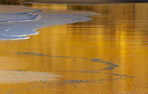 Reflective wet sand at sunrise, Cape Kiwanda in Pacific City, Oregon, USA