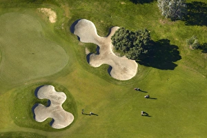 Sport Prints: Remuera Golf Course, Auckland, North Island, New Zealand - aerial