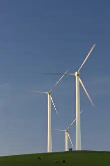 Images Dated 2nd March 2008: Renewable energy through wind power is collected via wind turbines in northern California s