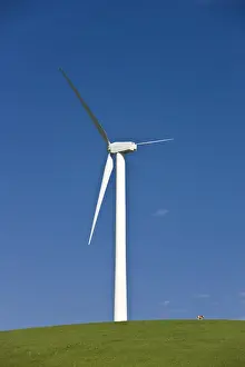 Renewable energy through wind power is collected via wind turbines in northern California s