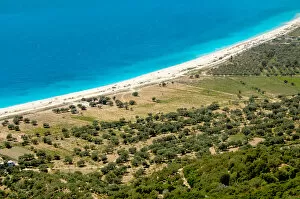 Images Dated 12th August 2007: Republic of Albania. Olive grove next to Borsh beach