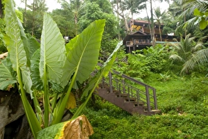 Images Dated 5th January 2008: Resort Hotel, Phuket, Thailand