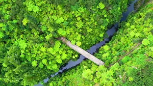 North Island Prints: Retaruke, New Zealand. The Bridge to nowhere is a unique remote destination
