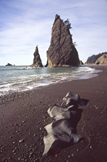 Images Dated 10th March 2009: Rialto Beach, Olympic National Park, Washington, US