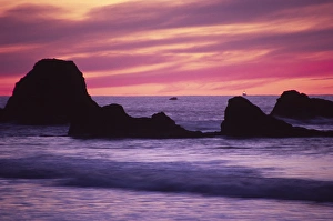 Images Dated 10th March 2009: Rialto Beach Sunset, Olympic National Park, Washington, US