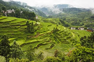 Highway Prints: Rice paddy in the mountain, Zhaoxing, Guizhou Province, China