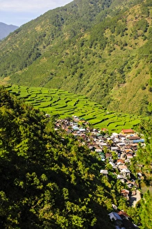 Scenics Prints: Along the rice terraces from Bontoc to Banaue, Luzon, Philippines