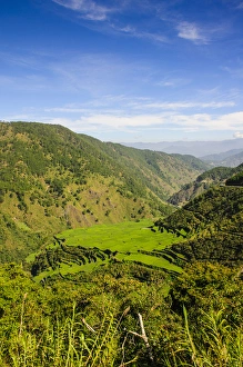 Images Dated 20th April 2012: Along the rice terraces from Bontoc to Banaue, Luzon, Philippines