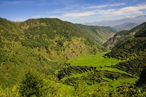 Images Dated 20th April 2012: Along the rice terraces from Bontoc to Banaue, Luzon, Philippines