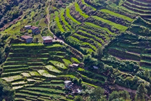 The Rice Terraces of the Philippine Cordilleras, UNESCO World Heritage site, Banaue