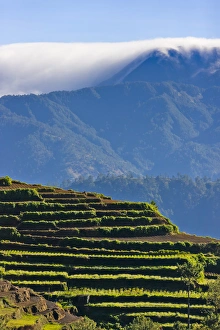 The Rice Terraces of the Philippine Cordilleras, UNESCO World Heritage site, Banaue