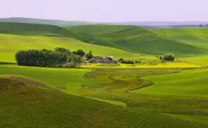 Images Dated 9th June 2008: A ride through the farm country of Palouse west of Colfax in Washington state