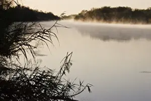 International Prints: Rio Grande with fog rising, international boundary between Mexico / Texas at sunrise