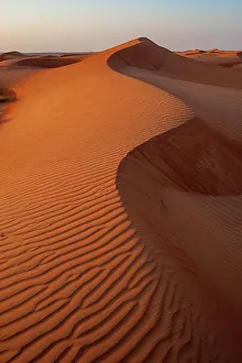 Sand Dune Prints: Rippled dunes in the Wahiba Sands at sunset. Wahiba Sands, Arabian Peninsula, Oman