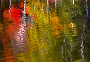 Blowing Prints: Rippled reflections of fall foliage in Blackledge Pond as the wind blew the water