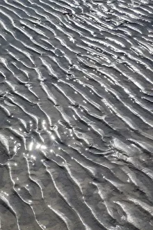 Prints of Ripples in the sand, Beach at Honeymoon Island State Park, Dunedin, Florida, USA Images Dated 2017 December: Ripples in the sand, Beach at Honeymoon Island State Park, Dunedin, Florida, USA