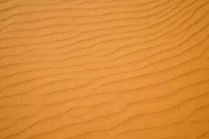 Ripples in Sand Dunes, Strzelecki Track, Outback, South Australia, Australia