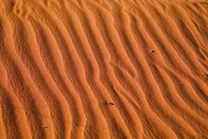 Northern Territory Prints: Ripples in Sand Dunes, Uluru - Kata Tjuta National Park