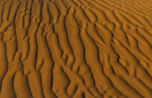 Douz Prints: Ripples in sand in the Sahara desert in Douz in Tunisia Africa