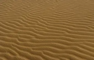 Images Dated 14th January 2021: Ripples in sand in Sahara Desert with sand everywhere near Tozeur in Tunisia Africa
