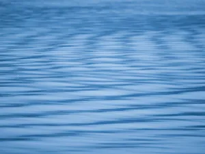 Images Dated 3rd July 2022: Ripples on water abstract