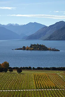 Rippon Vineyard and Lake Wanaka, Otago, South Island, New Zealand