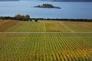 Central Otago Prints: Rippon Vineyard and Lake Wanaka, Otago, South Island, New Zealand