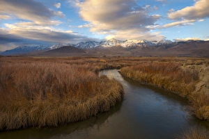 High Desert Prints: River flowing towards Sierra Nevada Mountains, California in winter