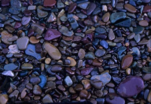 River gravel offers color, texture and form in the bed of a mountain creek
