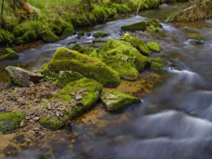 Europe Prints: River Grosse Ohe in the Bavarian Forest National Park near Sankt Oswald, Germany, Bavaria