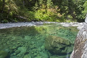 Landscape-Scenic Prints: River in Hoh Olympic National Park, Washington State
