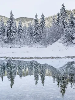 Europe Prints: River Isar near Sylvenstein Reservoir close to village in the Karwendel mountain range during winter