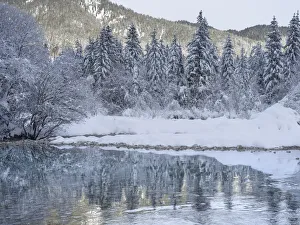 Images Dated 12th November 2021: River Isar near Sylvenstein Reservoir close to village in the Karwendel mountain range during winter