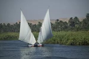 The River Nile and sailing boats used as transportation, Egypt