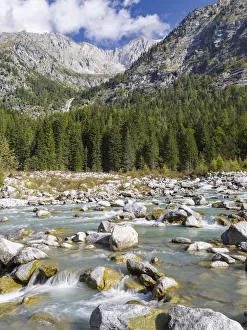 Images Dated 30th April 2021: River Sarca. Val di Genova in the Parco Naturale Adamello, Brenta, Trentino, Italy