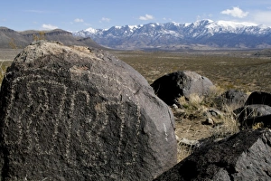 Three Rivers State Historical Park, New Mexico. United States. Ancient Native American