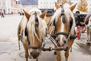 Creature Prints: RM. Cityscape. Horse carriage. Salzburg. Austria
