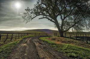 Kansas Prints: Road entering the Flint Hills of Kansas