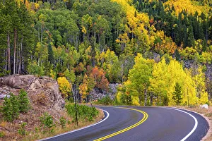 Bend Prints: Road, fall colors. Colorado