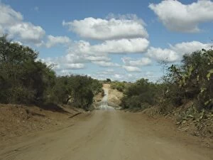 Images Dated 28th June 2005: Road to Fort Dauphin (Tolanaro), Madagascar