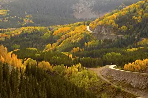 Images Dated 25th September 2014: A road meanders through the brilliant fall colors of the San Juan Mountains of Colorado