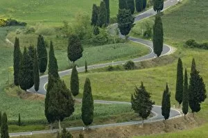 Images Dated 29th April 2007: Road from Pienza to Montepulciano, Monticchiello, Val d Orcia, Siena province, Tuscany, Italy